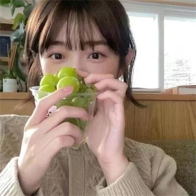 金山上的树叶